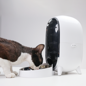 Catboxy Pisci Automatic Pet Feeder with 1080HD Camera