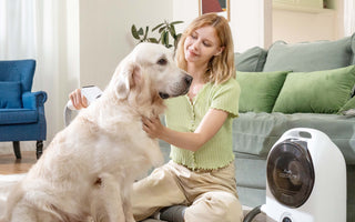 Why Regular Grooming Matters