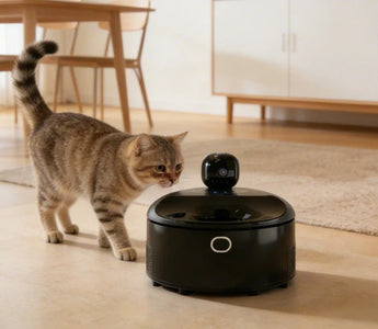 How to Use Europa E1 Wet Food Feeder: A Step-by-Step Guide for Fresh, Stress-Free Feeding