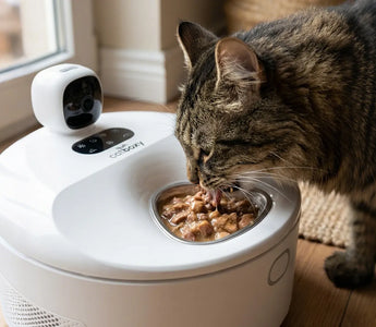 Wet Food Feeder Camera: Smart Feeding with Full Control