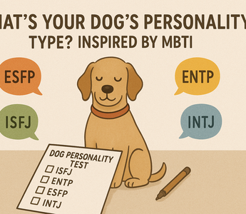 What’s Your Dog’s Personality Type? Inspired by MBTI.