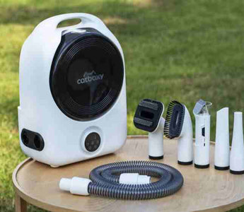 How to Use a Pet Grooming Kit and Vacuum: A Step-by-Step Guide