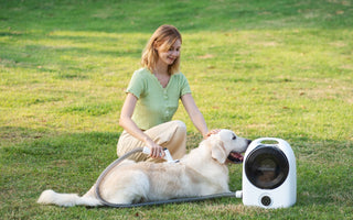 The Best Pet Grooming Kit for Home and Pro-Level Results