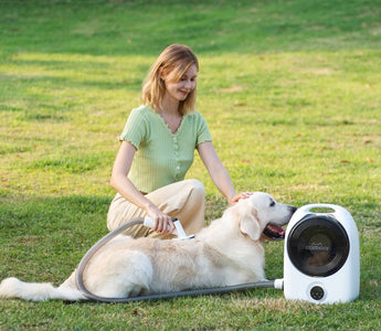 The Best Pet Grooming Kit for Home and Pro-Level Results