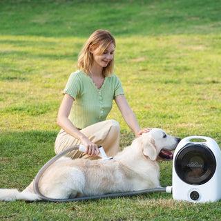 The Best Pet Grooming Kit for Home and Pro-Level Results