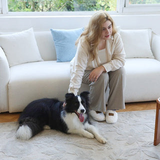 Essential Dog Grooming Mistakes Every Pet Parent Should Avoid