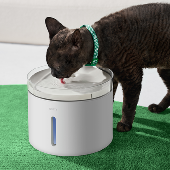 Moxy stream cat fountain best sale