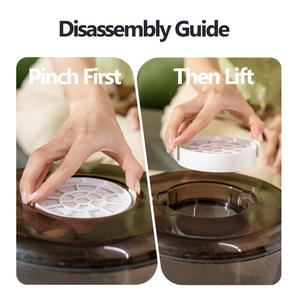 Round Filter Replacement for Catboxy Nova P1