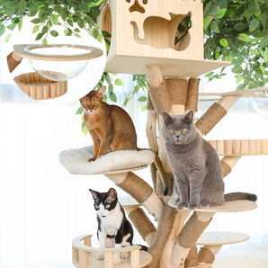 Artistic Tree Cat Tower