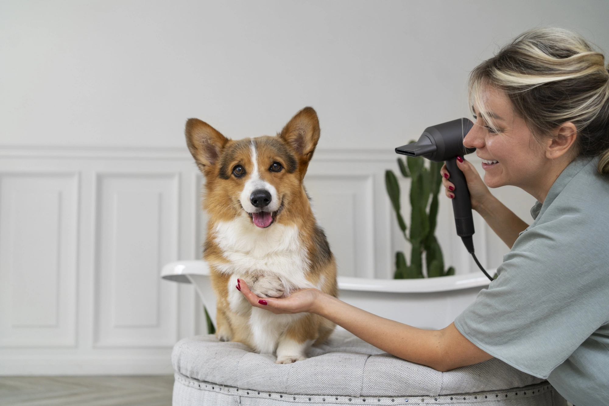 5 Best Dog Vacuum & Grooming Kits of 2025